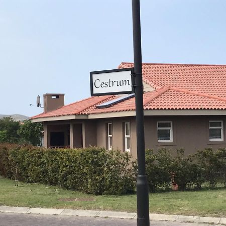 Whale Rock Gardens Apartment Plettenberg Bay Bagian luar foto